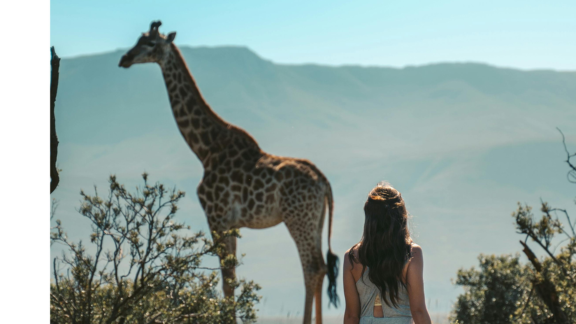 Adventure-game-walk with Mountain Rock Kenya