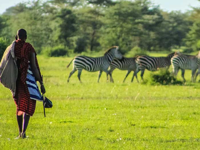 A north to south jorney through Kenya