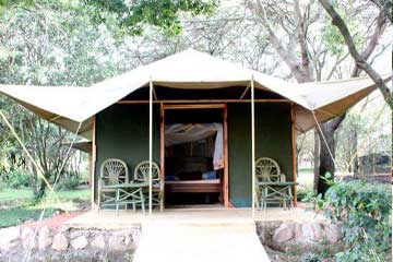 Mara Springs Safari Camp is strategically located at the foot of Naunare Hills in a prime game viewing area