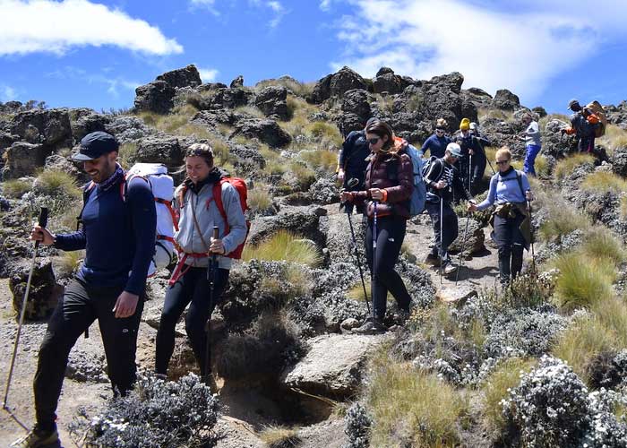 Mount-Kenya-Trekking-Majestic-Traverse