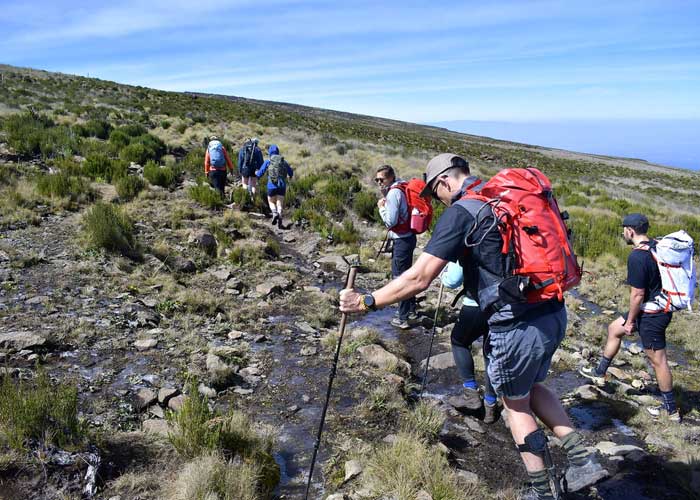 Mount Kenya Trekking Sirimon Naromoru Route